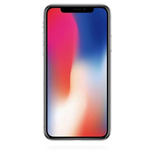 Apple Apple iPhone X 256GB Space Grau