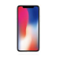 Logo Apple iPhone X 64GB Space Grau