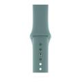 Apple WATCH Series 5 40mm GPS Aluminiumgehäuse silber Sportarmband cactus