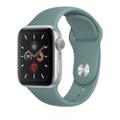 Apple WATCH Series 5 40mm GPS Aluminiumgehäuse silber Sportarmband cactus