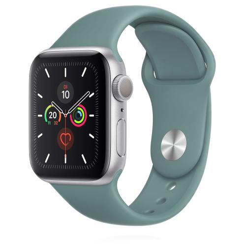 Apple Apple WATCH Series 5 40mm GPS Aluminiumgehäuse silber Sportarmband cactus