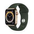 Apple WATCH Series 6 40mm GPS+Cellular Edelstahlgehäuse Gold Sportarmband Grün