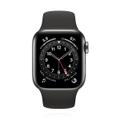 Apple WATCH Series 6 40mm GPS+Cellular Edelstahlgehäuse Graphit Sportarmband Schwarz