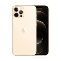 Logo Apple iPhone 12 Pro Max 256GB Gold