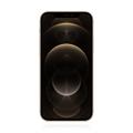 Apple iPhone 12 Pro Max 256GB Gold