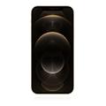 Apple iPhone 12 Pro Max 256GB Gold
