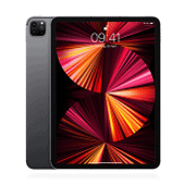 Apple iPad Pro 11 (2021) 2TB WiFi+Cellular Space Grau