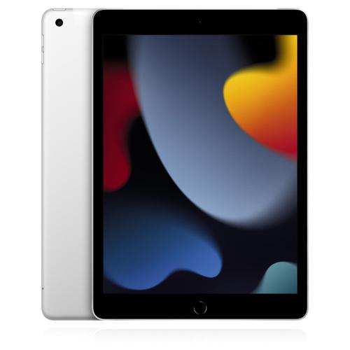 Apple Apple iPad (2021) WiFi+Cellular 256GB Silber