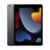 iPad (2021) 256GB WiFi Space Grau 
