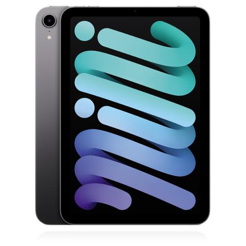 Apple Apple iPad Mini (2021) WiFi 64GB Space Grau