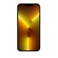 Apple iPhone 13 Pro 1TB Gold 