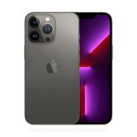 Logo Apple iPhone 13 Pro 256GB Graphit