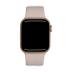 Watch SE 40mm GPS Aluminium Gold Sportarmband Polarstern