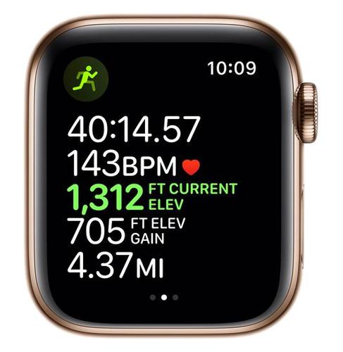 Apple Apple WATCH Series 7 45mm Cellular Edelstahl Gold Armband Milanaise Graphit