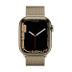 WATCH Series 7 45mm GPS+Cellular Edelstahlgehäuse Gold Milanaisearmband Gold