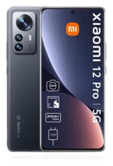 Xiaomi Xiaomi 12 Pro 5G 8GB RAM 256GB Grau