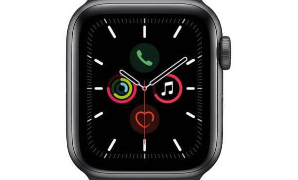 Apple Apple WATCH SE 44mm Cellular Aluminiumgehäuse Space Grau Sportarmband Zyperngrün