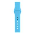 Apple WATCH Series 5 44mm GPS Aluminiumgehäuse Silber Sportarmband Arktisblau