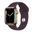 Apple WATCH Series 7 41mm GPS+Cellular Edelstahlgehäuse Gold Sportarmband Dunkelkirsch