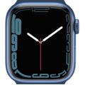Apple WATCH Series 7 45mm GPS Aluminiumgehäuse Blau Sportloop Abyssblau Mossgrün