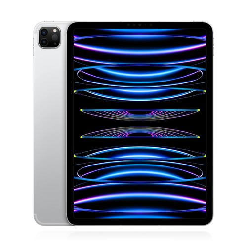 Apple iPad Pro 11 (2022) 256GB Wifi Silber