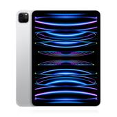 Apple iPad Pro 11 (2022) 1TB Wifi Silber