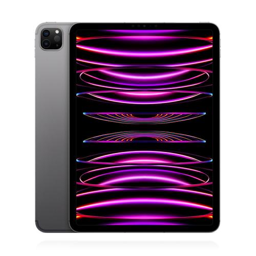 Apple iPad Pro 11 (2022) 256GB Wifi Space Grau
