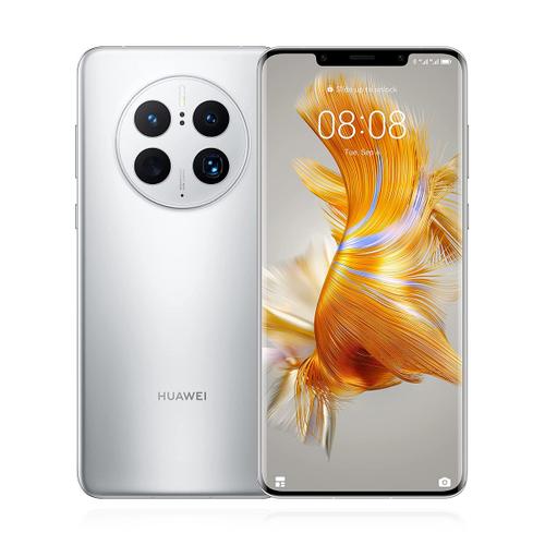 Huawei Huawei Mate 50 Pro 256GB Silber