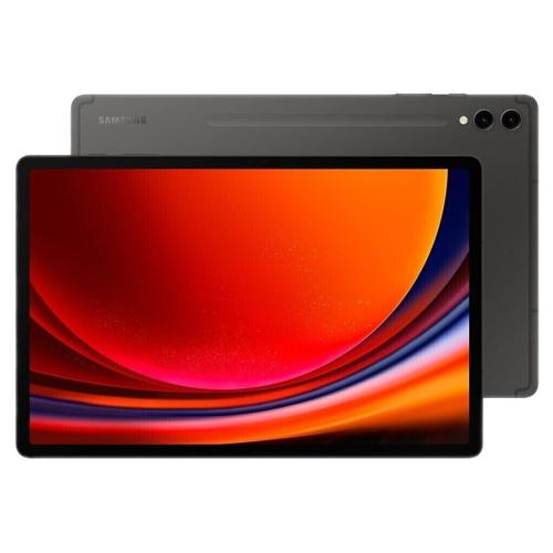Samsung Samsung Galaxy Tab S9 WiFi 256GB Graphite