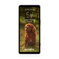 Sony Xperia 5 V 128GB Gojischwarz