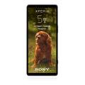 Sony Xperia 5 V 128GB Gojischwarz