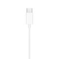 Apple EarPods mit USB-C Anschluss