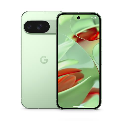 Google Pixel 9 256GB Wintergreen verkaufen