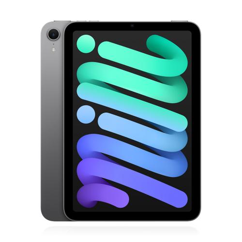 Apple iPad mini (2024) 256GB Wifi Space Grau verkaufen