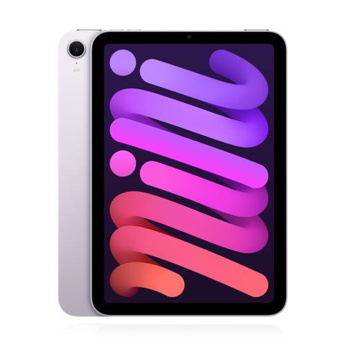 Apple iPad mini (2024) 256GB Wifi+Cellular Polarstern verkaufen