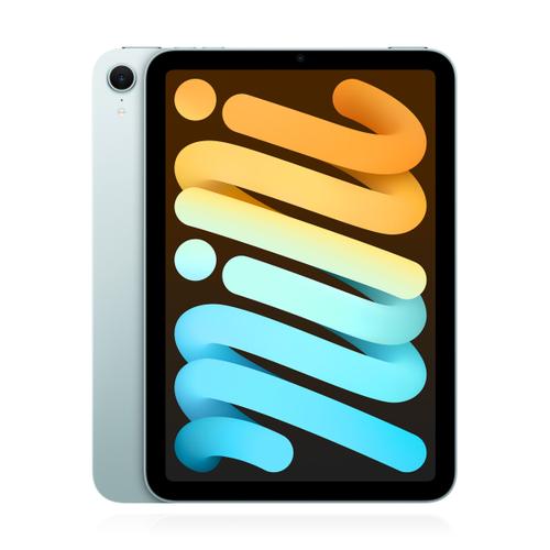 Apple iPad mini (2024) 512GB Wifi Blau verkaufen