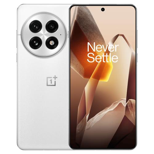 OnePlus OnePlus 13 512GB Arctic Dawn