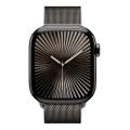 Apple Watch Series 10 42mm GPS+Cellular Titangehäuse Schiefer Milanaisearmband Schiefer