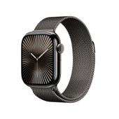 Apple Watch Series 10 42mm GPS+Cellular Titangehäuse Schiefer Milanaisearmband Schiefer