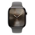 Apple Watch Series 10 46mm GPS+Cellular Titan Natur Sportarmband Steingrau M/L