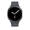 Samsung Galaxy Watch8 40mm Bluetooth Graphite Sport Band Graphite S/M