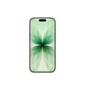 Apple iPhone 17 256GB Salbei