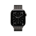 Watch Series 11 42mm GPS+Cellular Titan Schiefer Milanaisearmband Schiefer