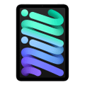 Apple iPad mini (2024) WiFi+Cellular 256GB Space Grau