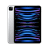 iPad Pro 11" (2022) WiFi 1TB Silber