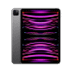 iPad Pro 11" (2022) WiFi+Cellular 256GB Space Grau