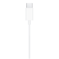 Apple Original EarPods mit USB-C Anschluss