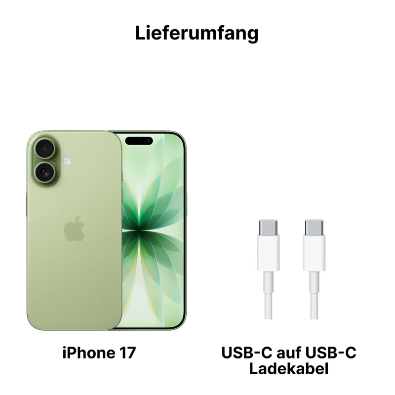 Apple iPhone 17 512GB Salbei