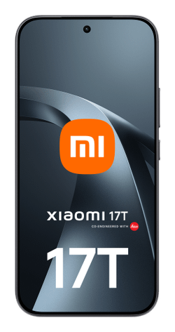 17T