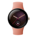 Google Pixel Watch 5 41mm LTE Champagne Gold Sportarmband Canyon